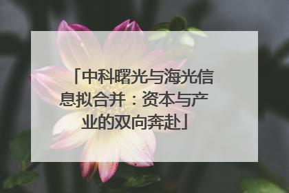 中科曙光与海光信息拟合并：资本与产业的双向奔赴