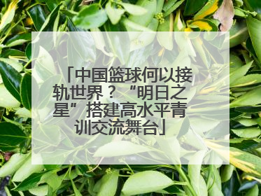 中国篮球何以接轨世界？“明日之星”搭建高水平青训交流舞台