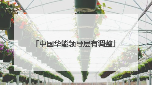 中国华能领导层有调整