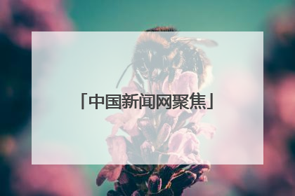 中国新闻网聚焦