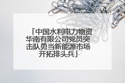 中国水利电力物资华南有限公司党员突击队勇当新能源市场开拓排头兵