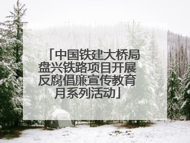 中国铁建大桥局盘兴铁路项目开展反腐倡廉宣传教育月系列活动