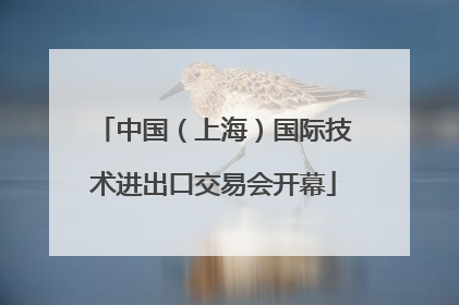 中国（上海）国际技术进出口交易会开幕