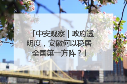 中安观察｜政府透明度，安徽何以稳居全国第一方阵？