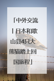 中外交流丨日本和歌山县4只大熊猫踏上回国旅程