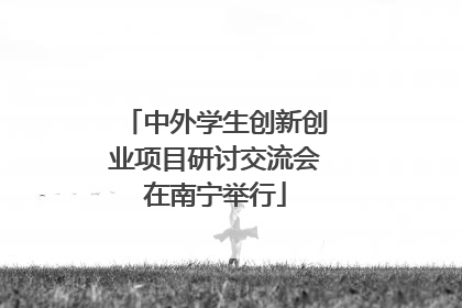 中外学生创新创业项目研讨交流会在南宁举行