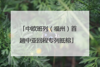 中欧班列（福州）首趟中亚回程专列抵榕