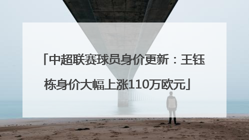 中超联赛球员身价更新：王钰栋身价大幅上涨110万欧元