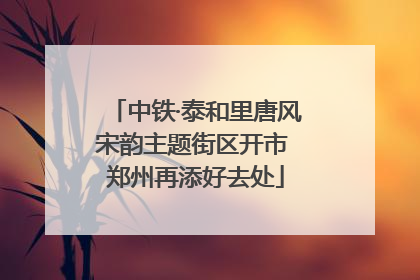 中铁·泰和里唐风宋韵主题街区开市 郑州再添好去处