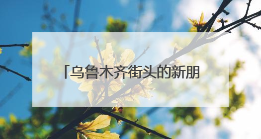 乌鲁木齐街头的新朋友，你偶遇了吗？