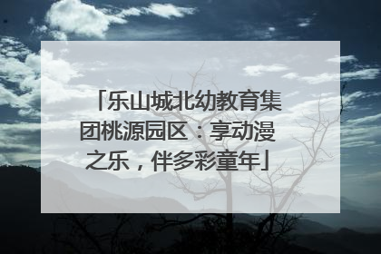 乐山城北幼教育集团桃源园区：享动漫之乐，伴多彩童年