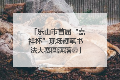 乐山市首届“嘉祥杯”现场硬笔书法大赛圆满落幕