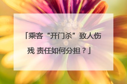 乘客“开门杀”致人伤残 责任如何分担？