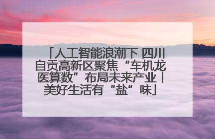 人工智能浪潮下 四川自贡高新区聚焦“车机龙医算数”布局未来产业丨美好生活有“盐”味