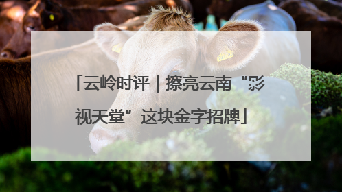 云岭时评｜擦亮云南“影视天堂”这块金字招牌