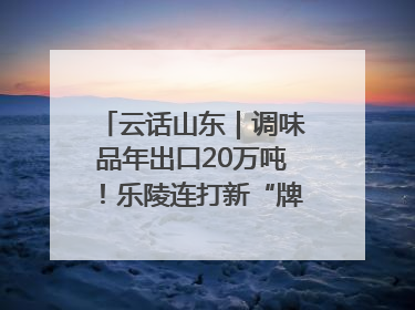 云话山东｜调味品年出口20万吨！乐陵连打新“牌”助力企业出海