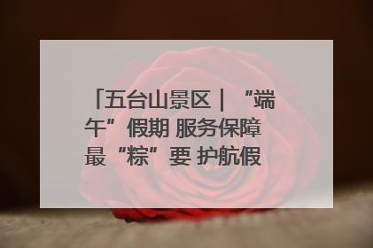 五台山景区｜“端午”假期 服务保障最“粽”要 护航假期“不打烊”