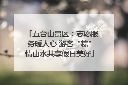 五台山景区：志愿服务暖人心 游客“粽”情山水共享假日美好