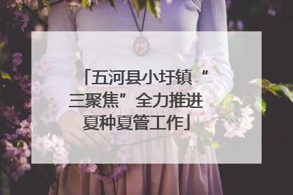 五河县小圩镇“三聚焦”全力推进夏种夏管工作