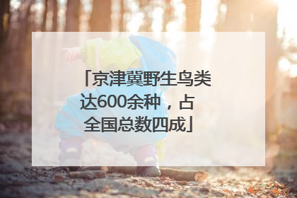 京津冀野生鸟类达600余种，占全国总数四成