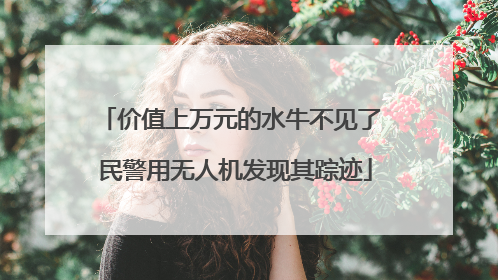 价值上万元的水牛不见了 民警用无人机发现其踪迹