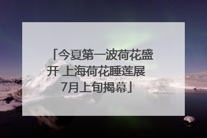今夏第一波荷花盛开 上海荷花睡莲展7月上旬揭幕
