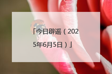 今日辟谣（2025年6月5日）