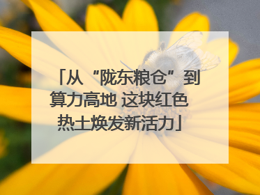 从“陇东粮仓”到算力高地 这块红色热土焕发新活力
