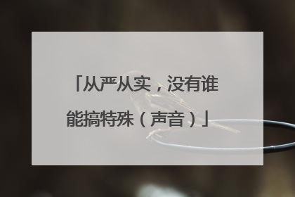 从严从实，没有谁能搞特殊（声音）