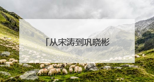 从宋涛到巩晓彬，从张子宇到杨瀚森，篮球逐梦山东“高人”不停歇