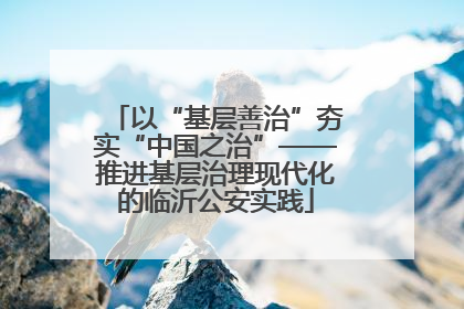 以“基层善治”夯实“中国之治”——推进基层治理现代化的临沂公安实践