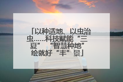 以种适地、以虫治虫……科技赋能“三夏” “智慧种地”绘就好“丰”景
