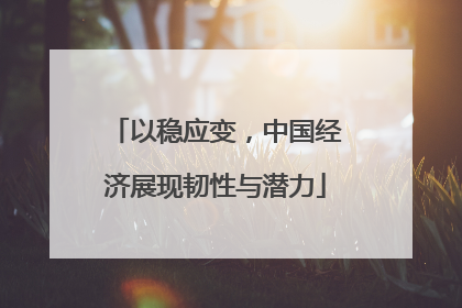 以稳应变，中国经济展现韧性与潜力
