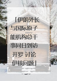 伊朗外长与国际原子能机构总干事同日到访开罗 讨论伊核问题