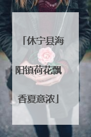 休宁县海阳镇荷花飘香夏意浓