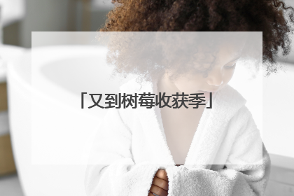 又到树莓收获季