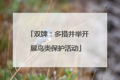 双牌：多措并举开展鸟类保护活动