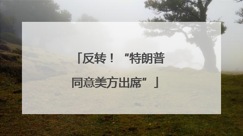 反转！“特朗普同意美方出席”
