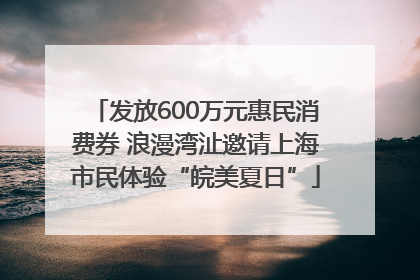 发放600万元惠民消费券 浪漫湾沚邀请上海市民体验“皖美夏日”