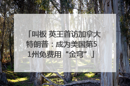 叫板 英王首访加拿大 特朗普：成为美国第51州免费用“金穹”
