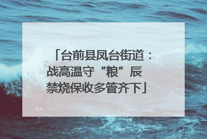 台前县凤台街道：战高温守“粮”辰 禁烧保收多管齐下