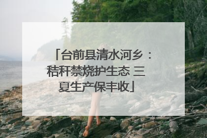 台前县清水河乡：秸秆禁烧护生态 三夏生产保丰收