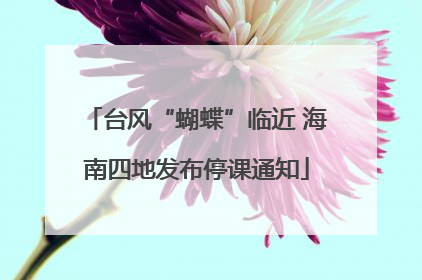 台风“蝴蝶”临近 海南四地发布停课通知