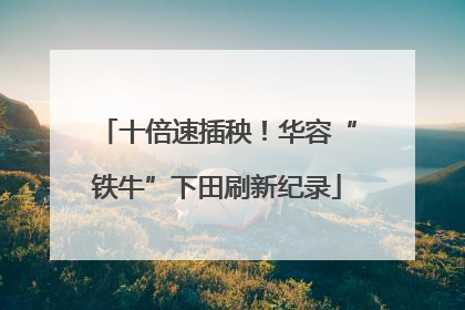 十倍速插秧！华容“铁牛”下田刷新纪录