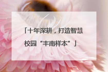 十年深耕，打造智慧校园“丰南样本”