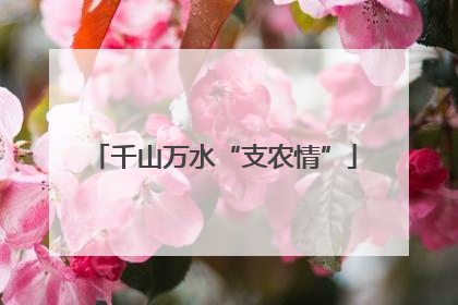 千山万水“支农情”
