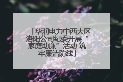 华润电力中西大区洛阳公司纪委开展“家庭助廉”活动 筑牢廉洁防线