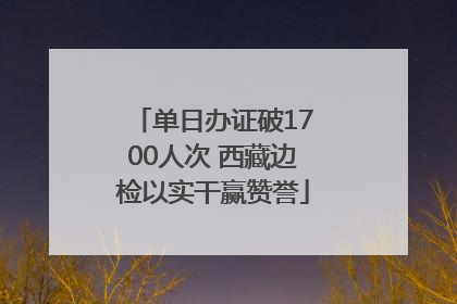 单日办证破1700人次 西藏边检以实干赢赞誉