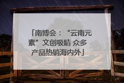 南博会：“云南元素”文创吸睛 众多产品热销海内外