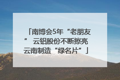 南博会5年“老朋友” 云铝股份不断擦亮云南制造“绿名片”